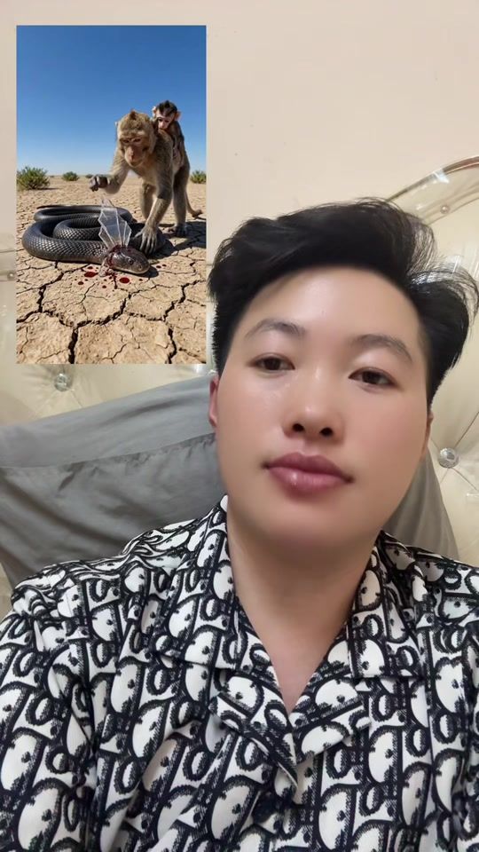 TikTok video thumbnail by phihoua.success9.0m