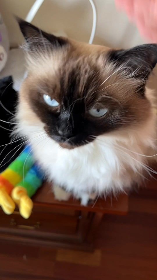 TikTok video thumbnail by _misskisya_