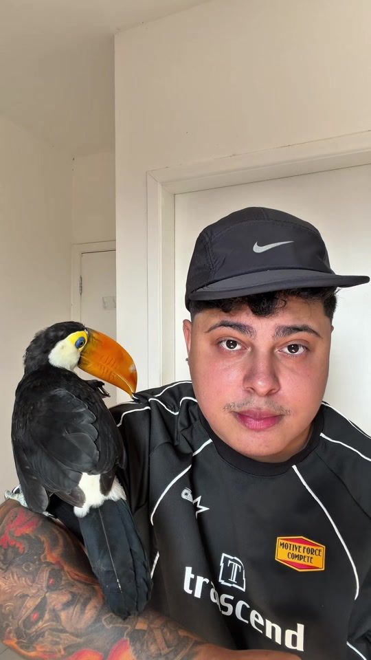 TikTok video thumbnail by fluxo_wallace