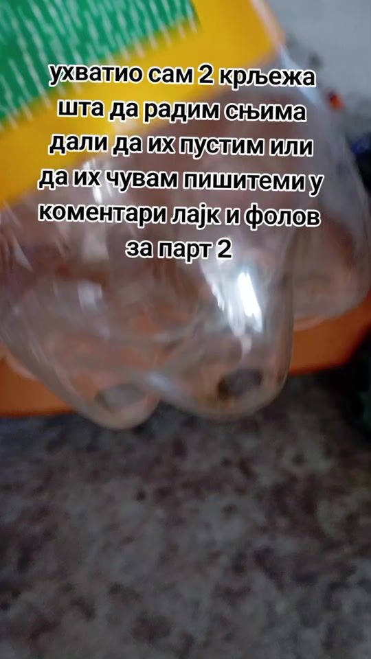 TikTok video thumbnail by matejaslavkovic247