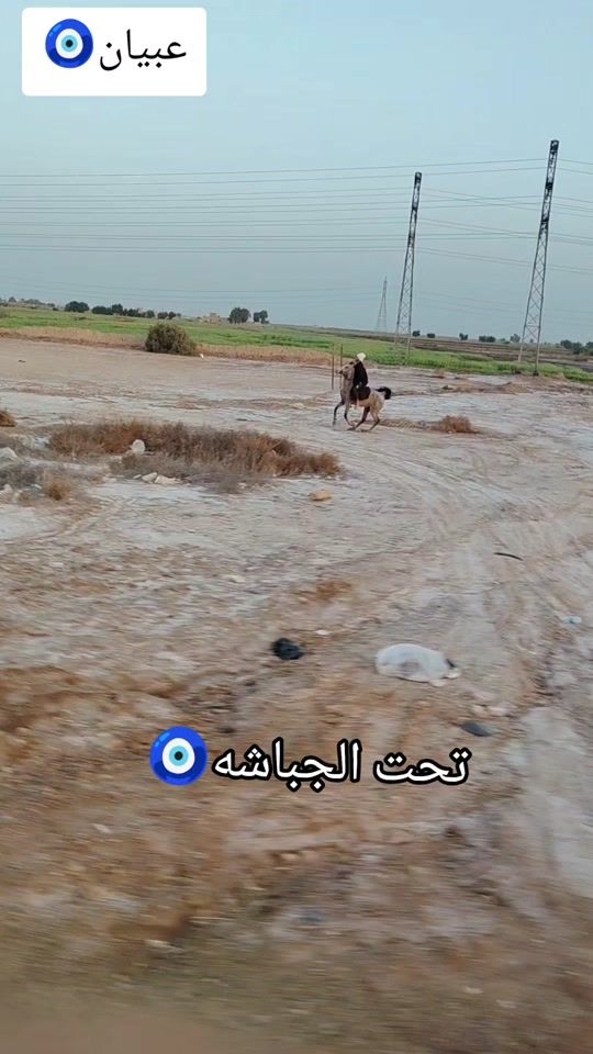 TikTok video thumbnail by bfcvyf