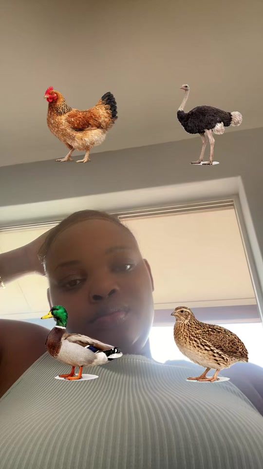 TikTok video thumbnail by bucie573