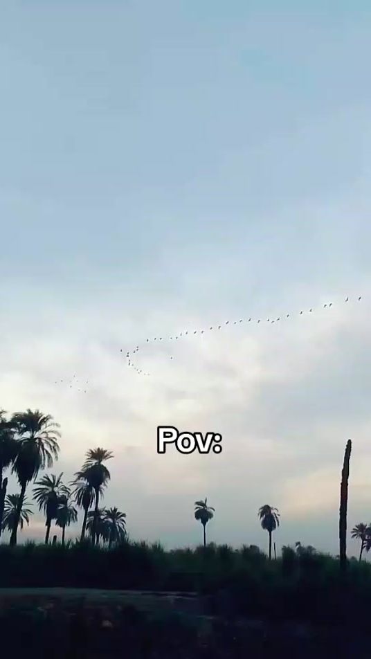 TikTok video thumbnail by h.u..ss