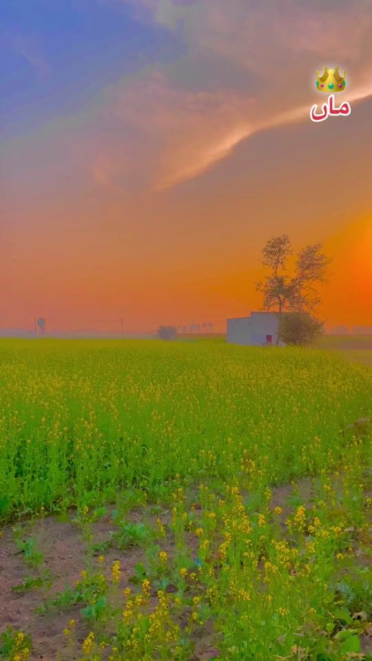 TikTok video thumbnail by uzairminhasrajput