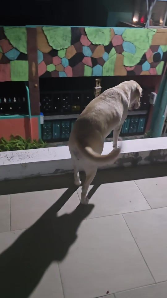 TikTok video thumbnail by cooper.chloe422