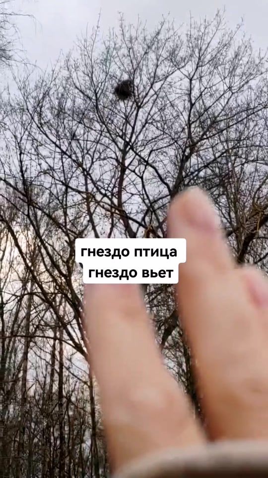TikTok video thumbnail by tuevafiz