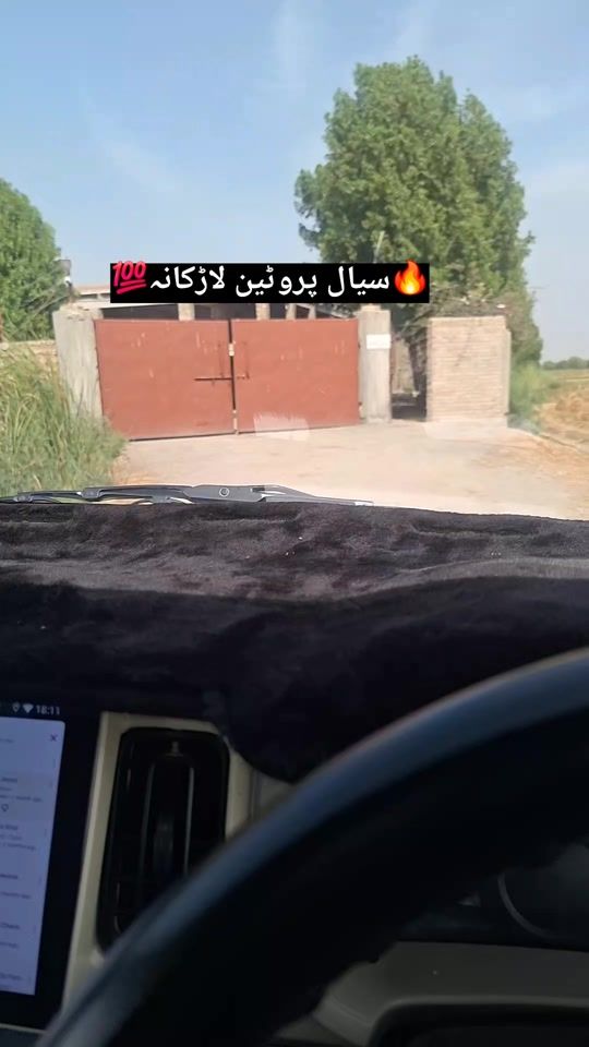 TikTok video thumbnail by siraki3