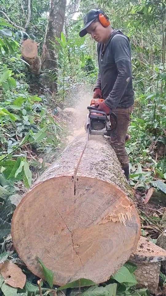 TikTok video thumbnail by edilsar99