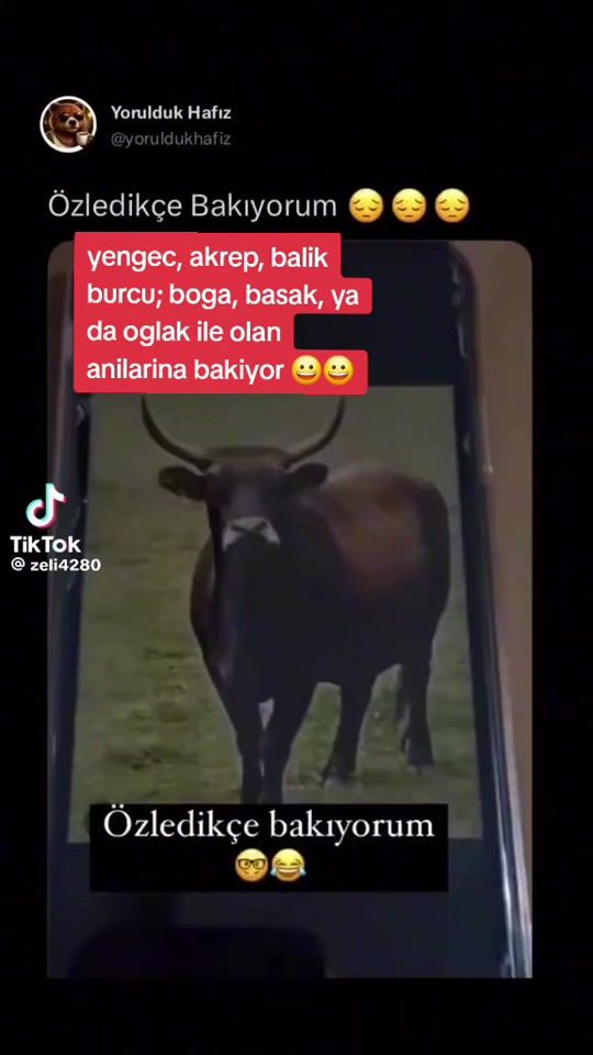 TikTok video thumbnail by barbaros_kozan