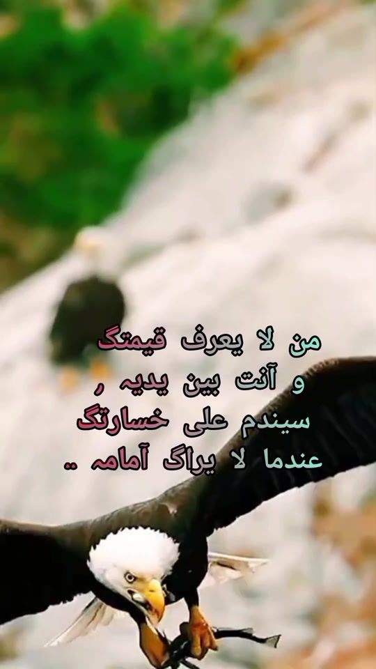 TikTok video thumbnail by alhadu32