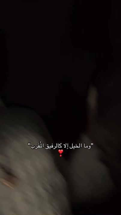 TikTok video thumbnail by haluooshii0