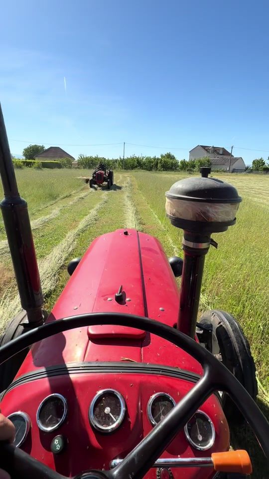 TikTok video thumbnail by agro_zeta