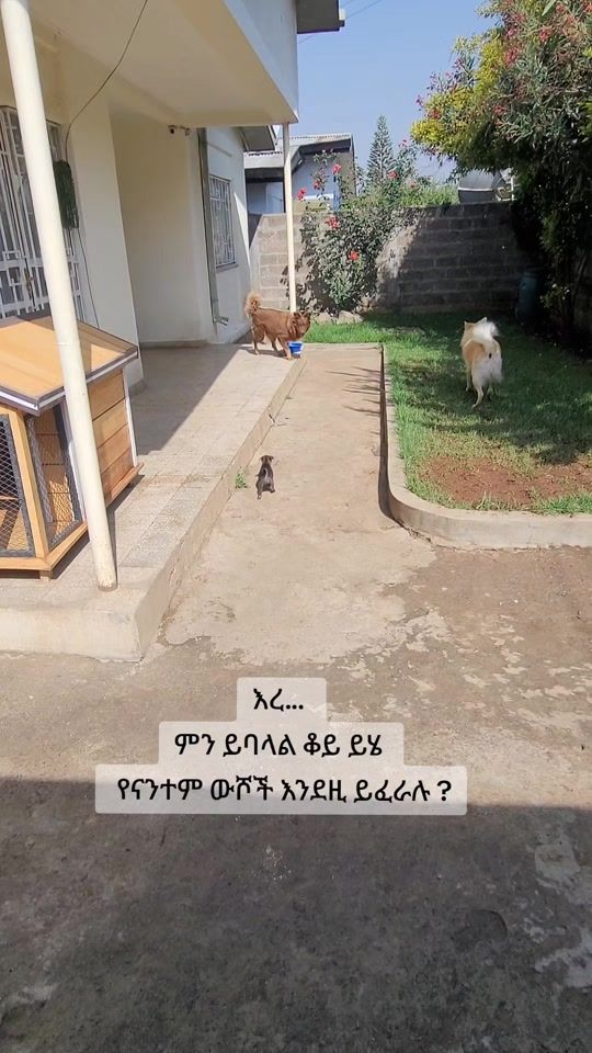TikTok video thumbnail by our_zeus