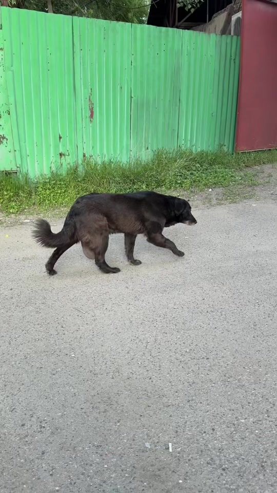 TikTok video thumbnail by qanat.million