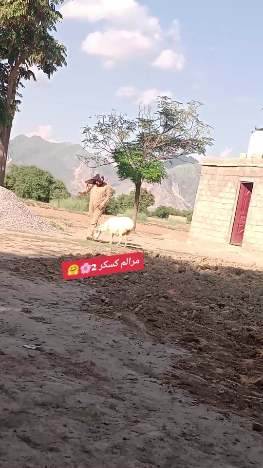 TikTok video thumbnail by midrees9901