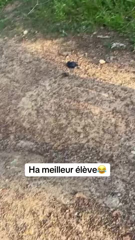 TikTok video thumbnail by sylla.tane