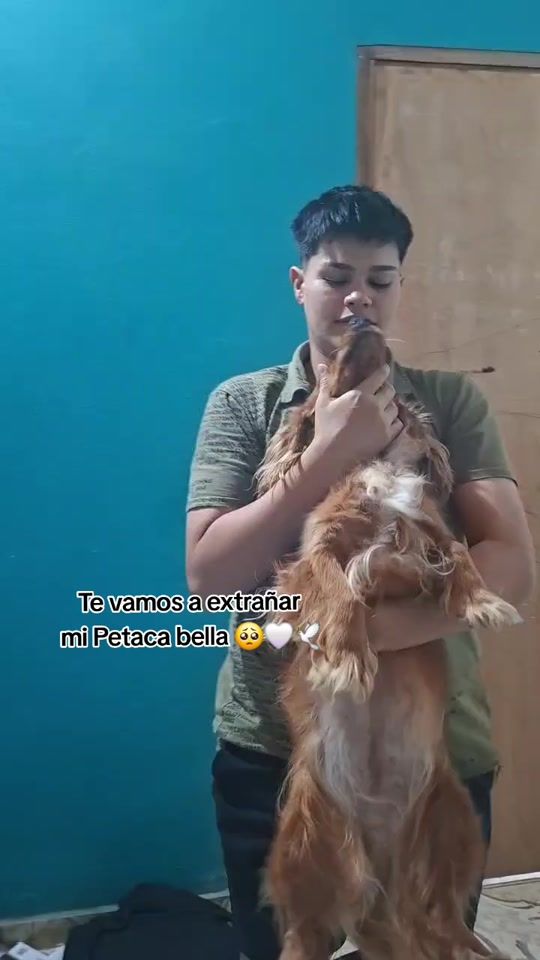 TikTok video thumbnail by griselvaztike99