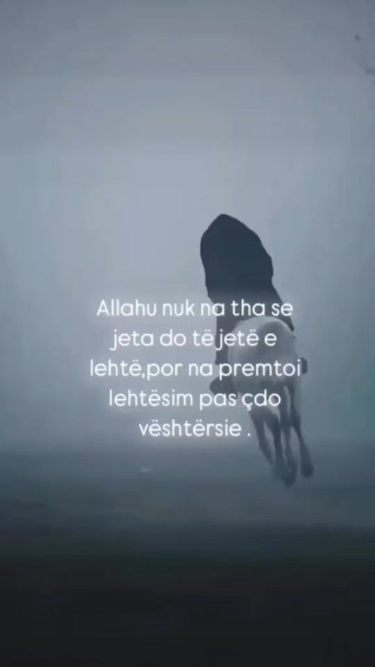 TikTok video thumbnail by aldin.z