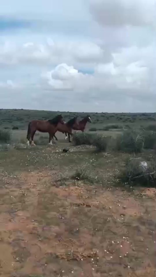 TikTok video thumbnail by imed.hmd