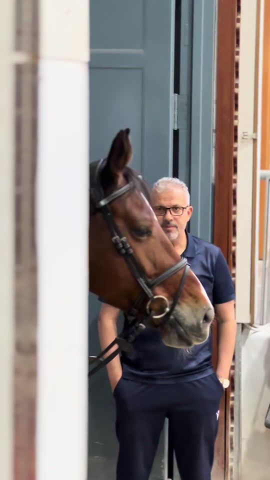 TikTok video thumbnail by the.saddle.equest