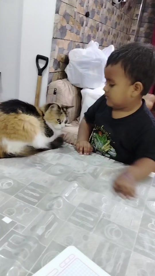 TikTok video thumbnail by irishuerta19