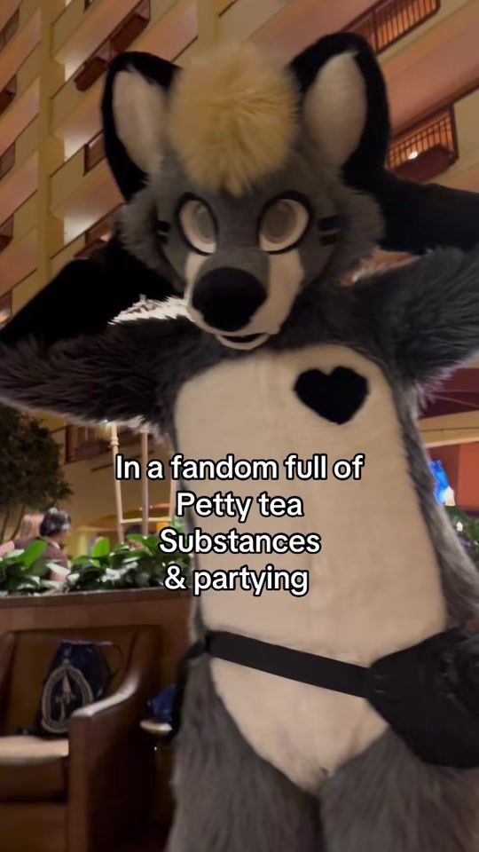 TikTok video thumbnail by tiko.wolf