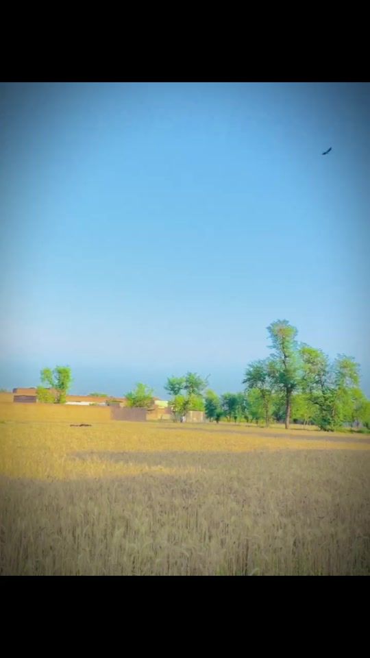 TikTok video thumbnail by iftikhar_jaani
