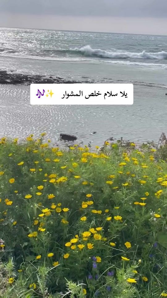 TikTok video thumbnail by a_alwan4