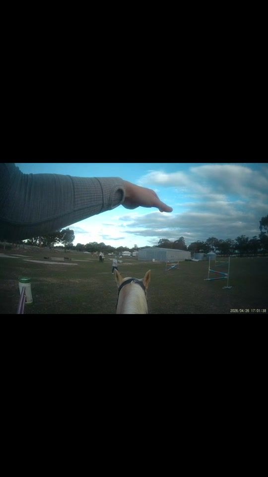 TikTok video thumbnail by equine.wilkinson