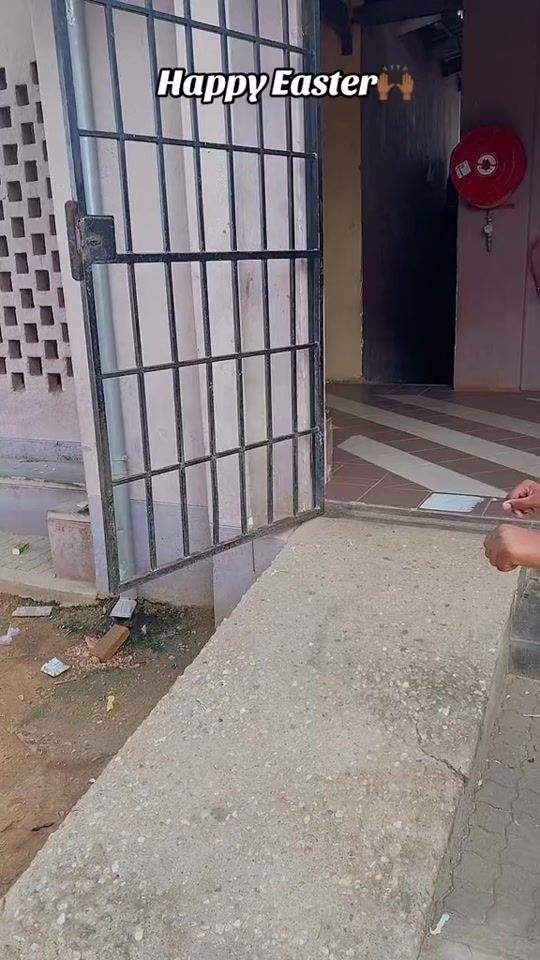 TikTok video thumbnail by favor.am