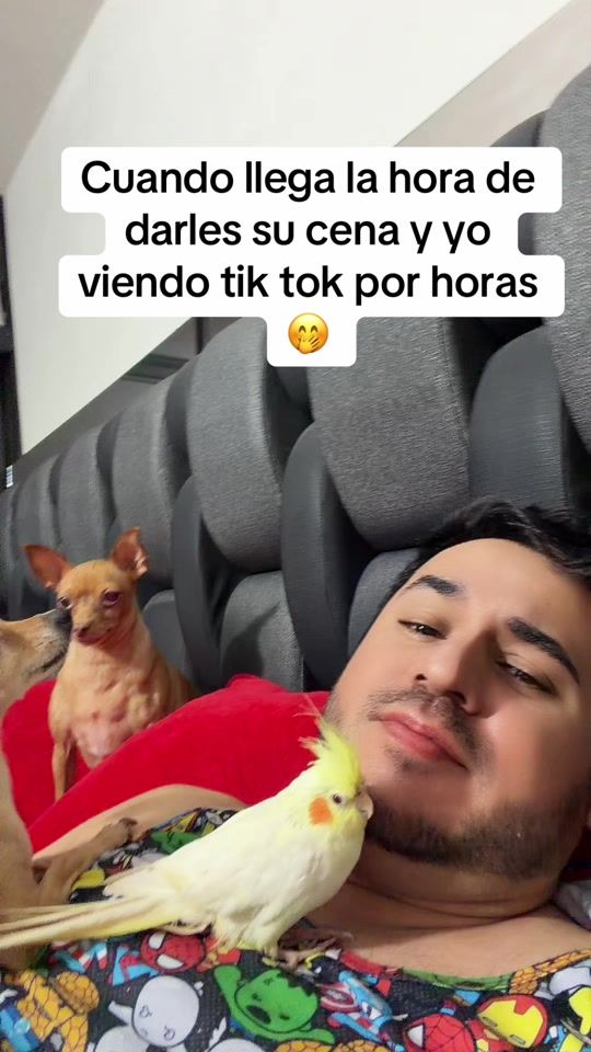 TikTok video thumbnail by juandamon1