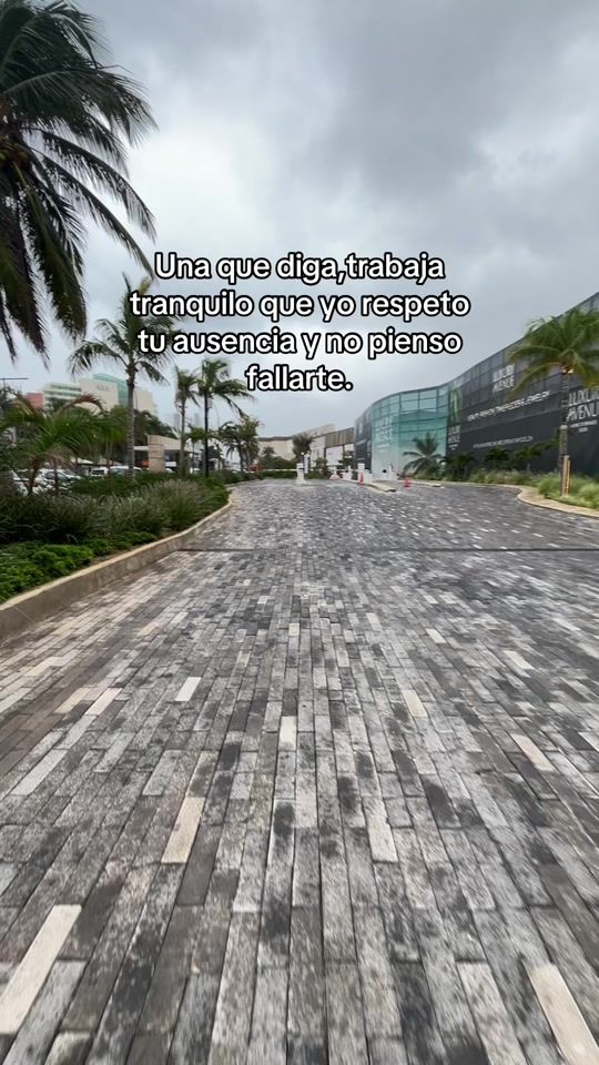 TikTok video thumbnail by armandokan