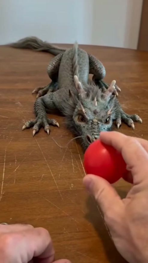 TikTok video thumbnail by anon.f2.999