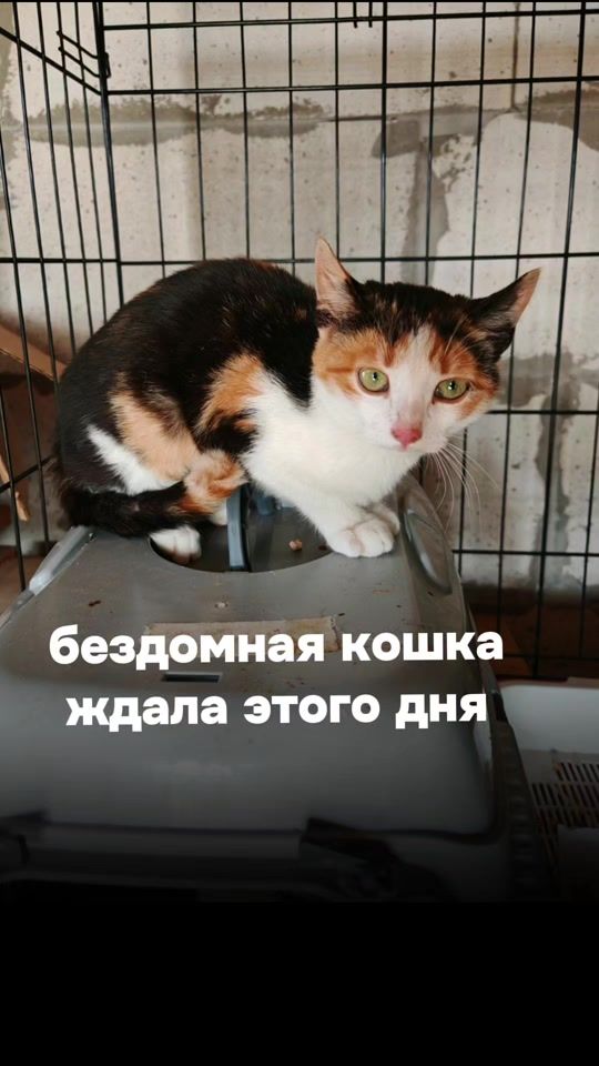 TikTok video thumbnail by bim_vitebsk