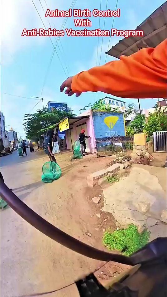 TikTok video thumbnail by alishpyan02