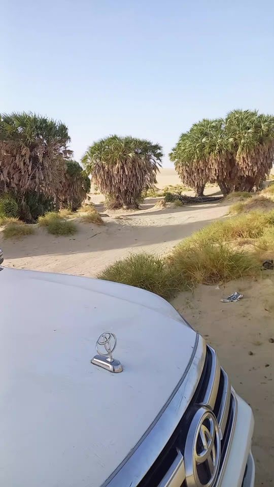 TikTok video thumbnail by serou.ali