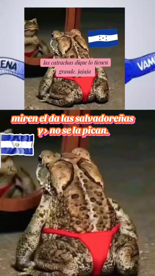 TikTok video thumbnail by herodes_73