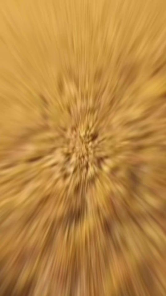 TikTok video thumbnail by abdrhem__404