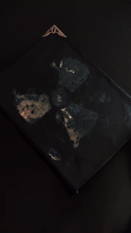 TikTok video thumbnail by stalker_book