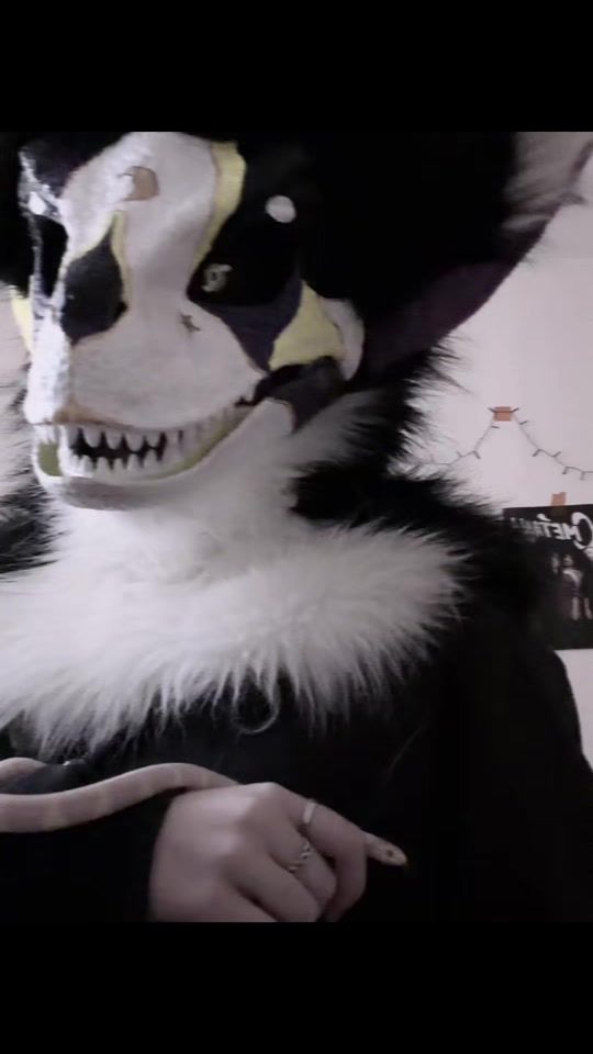 TikTok video thumbnail by _.im_furry._