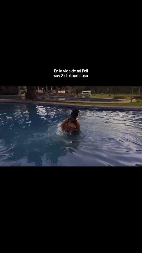 TikTok video thumbnail by _donseth_