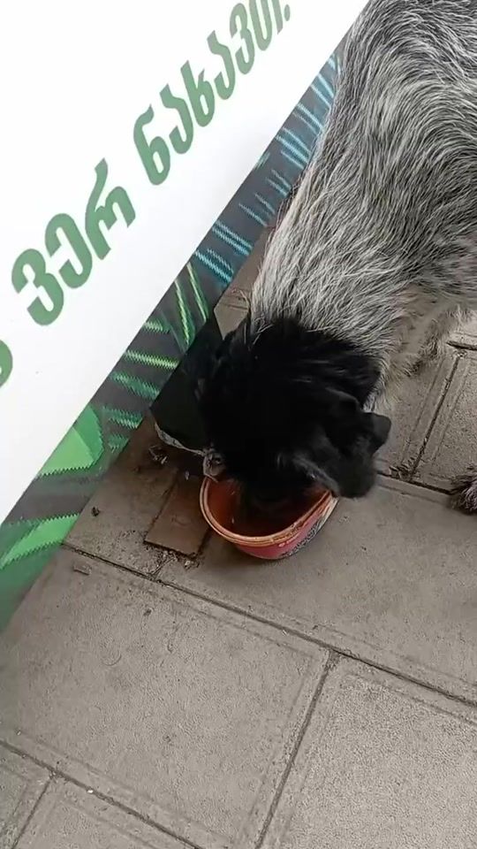 TikTok video thumbnail by irmasha25