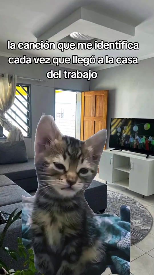 TikTok video thumbnail by cordovaivan0