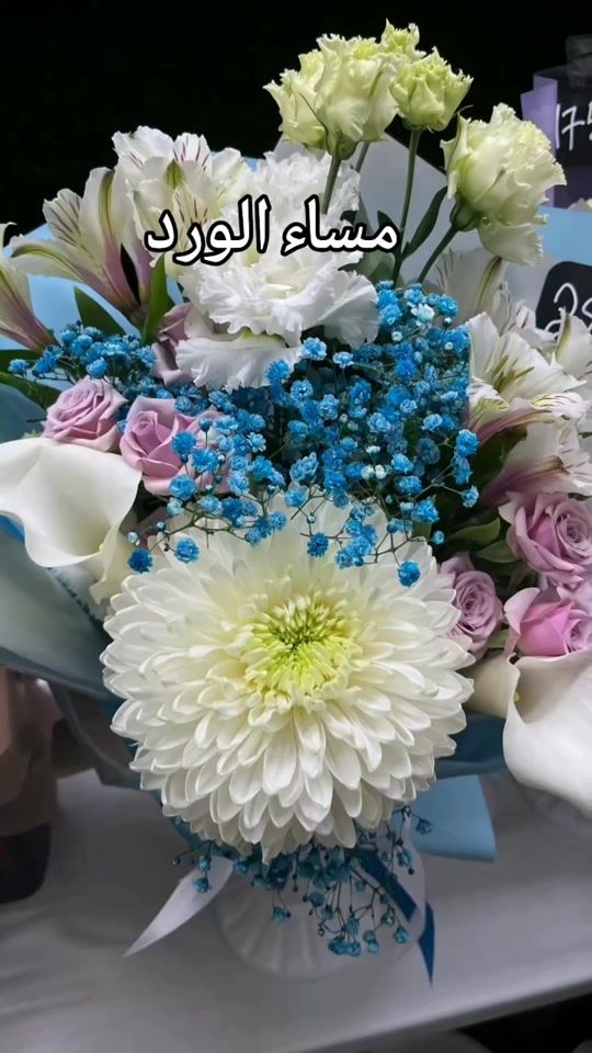 TikTok video thumbnail by najatalami1