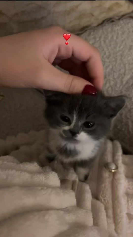 TikTok video thumbnail by ll.bmd