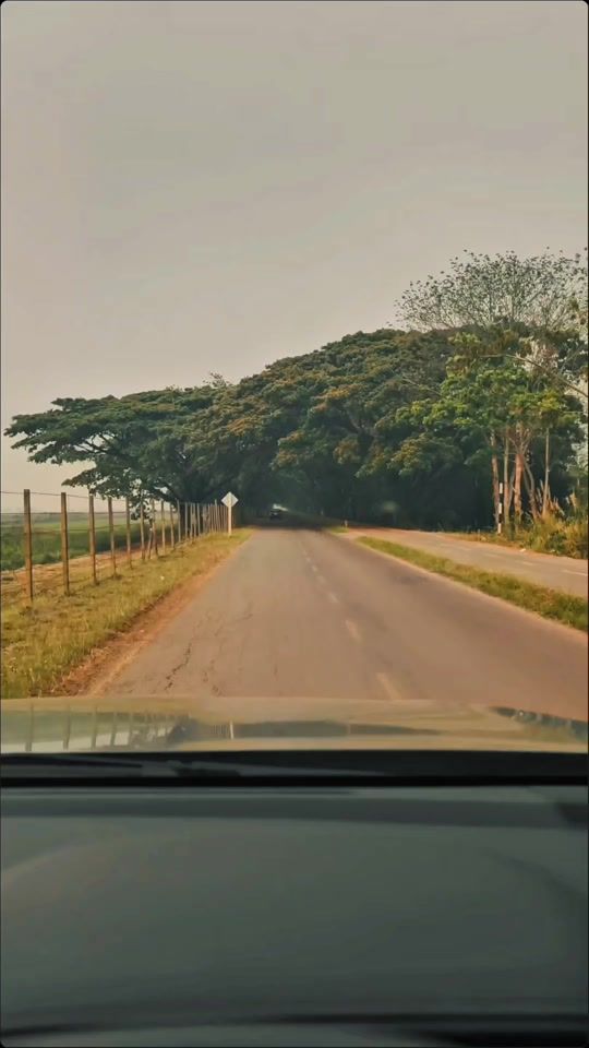 TikTok video thumbnail by tepakha