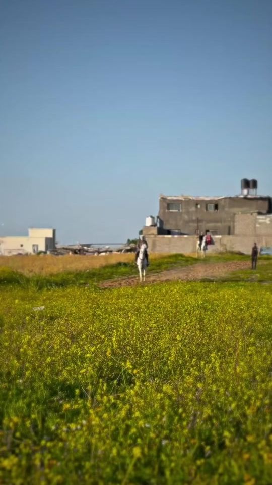 TikTok video thumbnail by abdel.madin