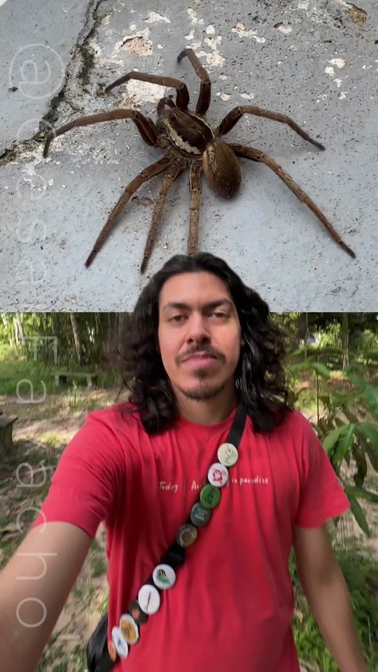 TikTok video thumbnail by cesarfavacho