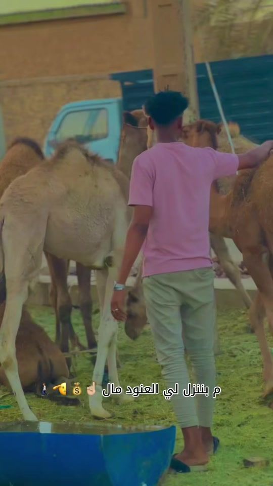 TikTok video thumbnail by ahmadabdullah770
