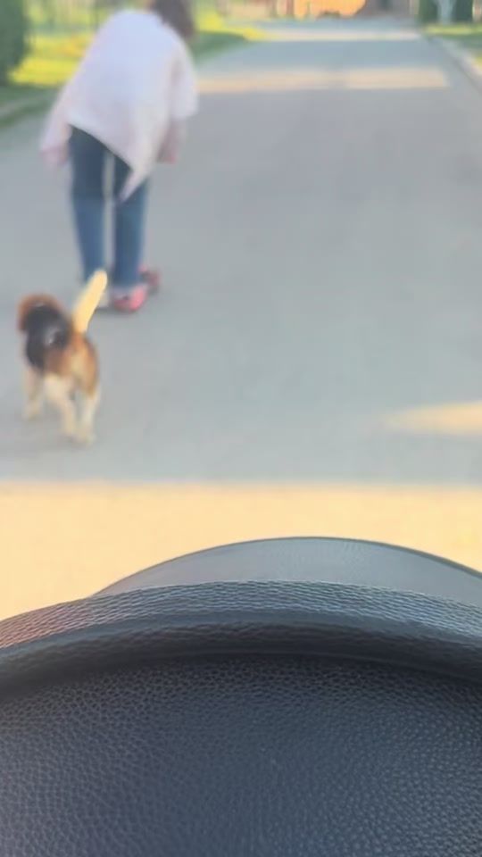 TikTok video thumbnail by mamazna__